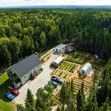 Upper Humber Settlement A Farmstay B&B Cormack Exteriér fotografie