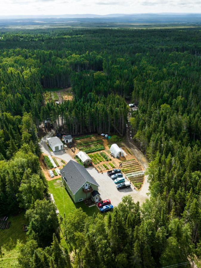 Upper Humber Settlement A Farmstay B&B Cormack Exteriér fotografie