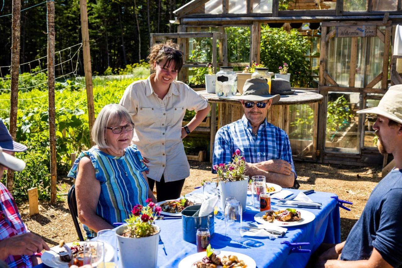 Upper Humber Settlement A Farmstay B&B Cormack Exteriér fotografie